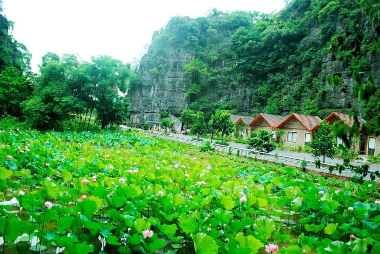Tamcoc Viet Tan Homestay & Garden Ninh Bình Extérieur photo