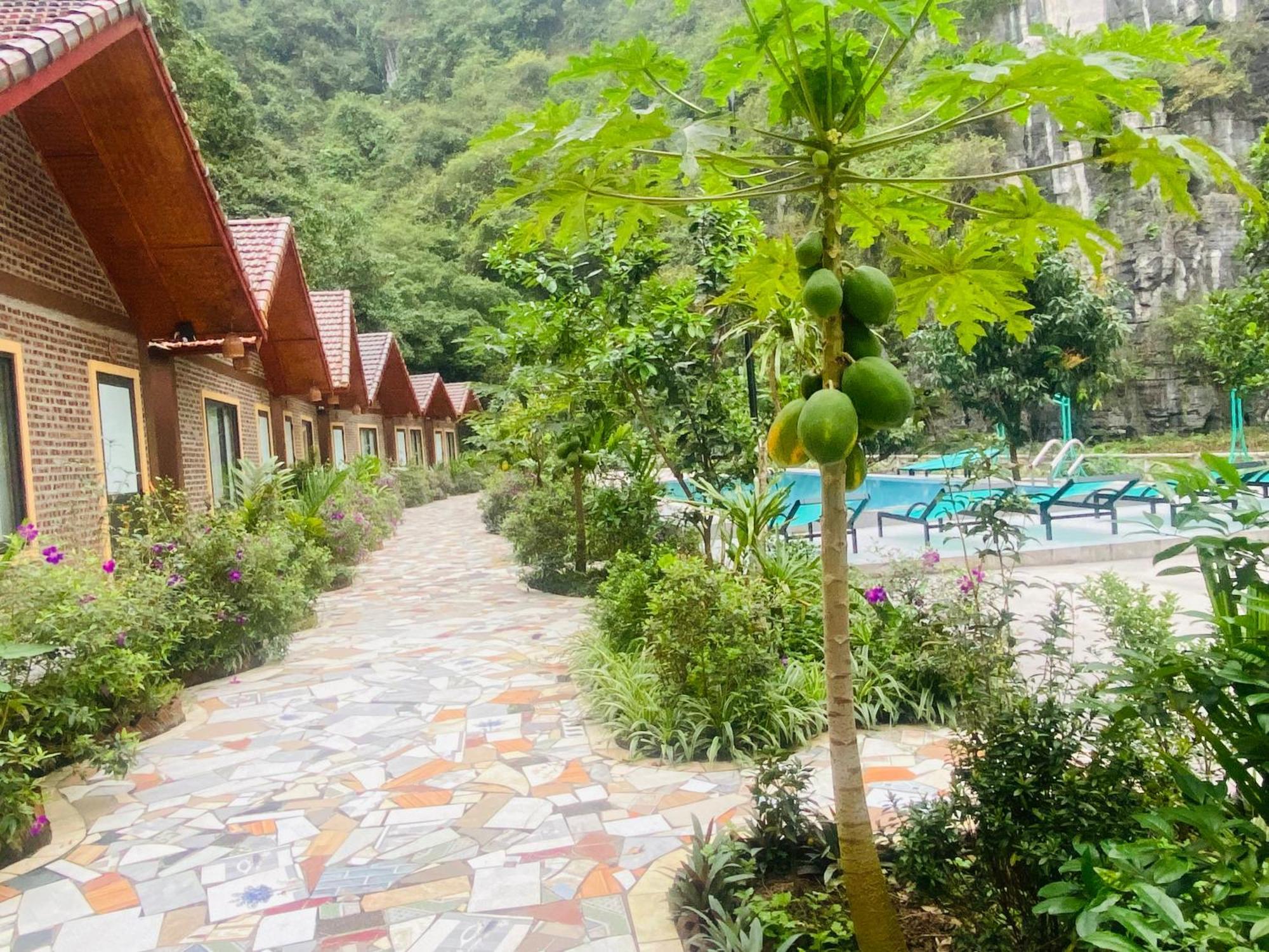 Tamcoc Viet Tan Homestay & Garden Ninh Bình Extérieur photo